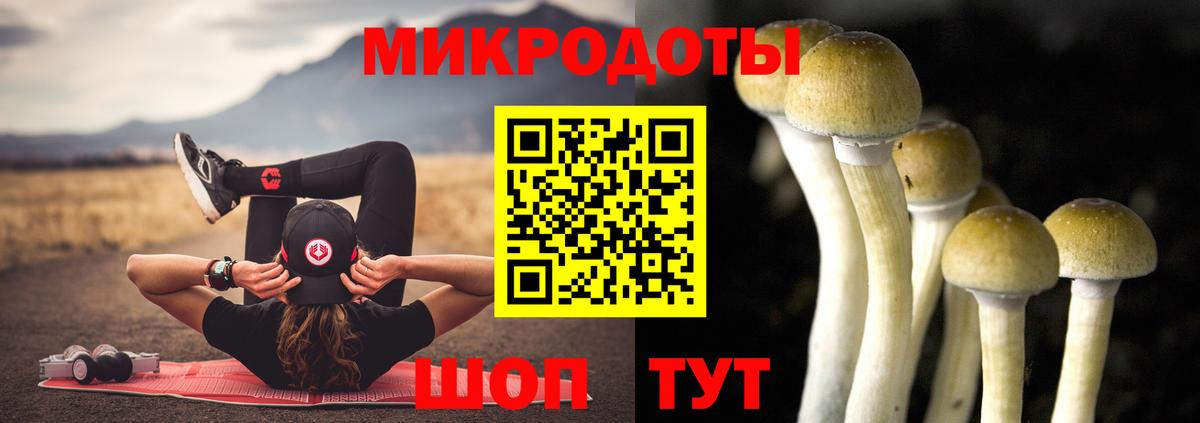 Галлюциногенные грибы Magic Shrooms Серпухов